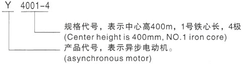 西安泰富西玛Y系列(H355-1000)高压YE2-315L2-4三相异步电机型号说明