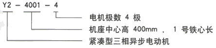 YR系列(H355-1000)高压YE2-315L2-4三相异步电机西安西玛电机型号说明